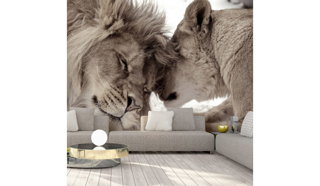 Fototapeet - Lion Tenderness (Sepia) - 250x175