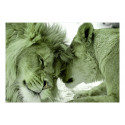 Fototapeet - Lion Tenderness (Green) - 450x315