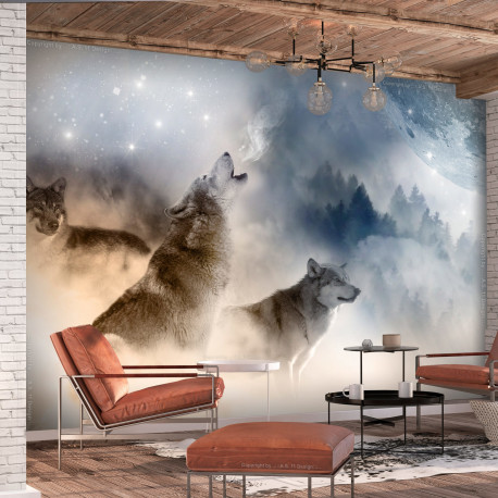 Fototapeet - Pack - 100x70