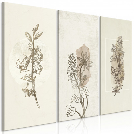 Seinapilt - Herbarium (3 Parts) - 90x60