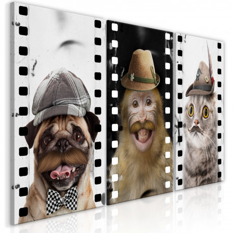 Seinapilt - Funny Pets (Collection) - 60x30