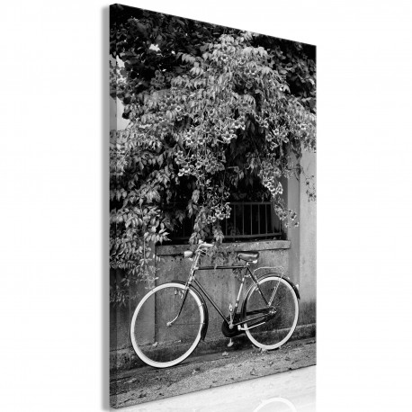 Seinapilt - Bicycle and Flowers (1 Part) Vertical - 40x60