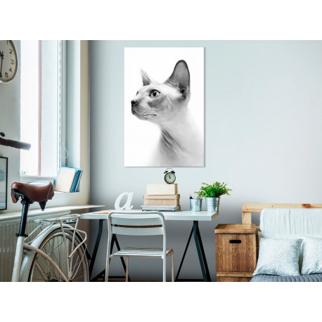 Seinapilt - Hairless Cat (1 Part) Vertical - 80x120