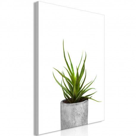 Seinapilt - Haworthia (1 Part) Vertical - 80x120