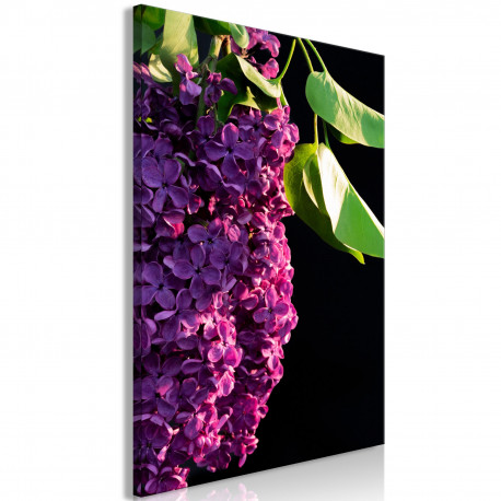 Seinapilt - Colours of Spring (1 Part) Vertical - 60x90