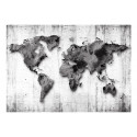 Fototapeet -  World in Shades of Gray - 400x280