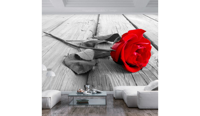 Fototapeet - Abandoned Rose - 100x70