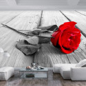 Fototapeet - Abandoned Rose - 250x175