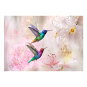 Fototapeet - Colourful Hummingbirds (Pink) - 350x245