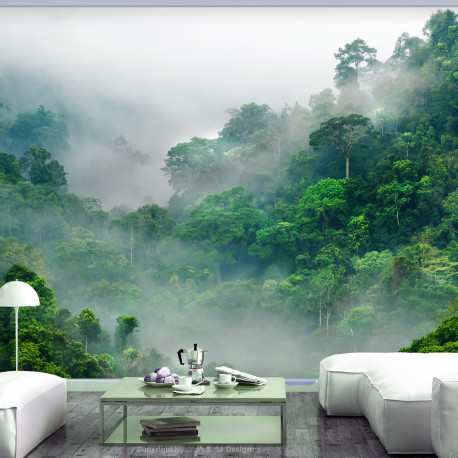 Fototapeet - Morning Fog - 100x70