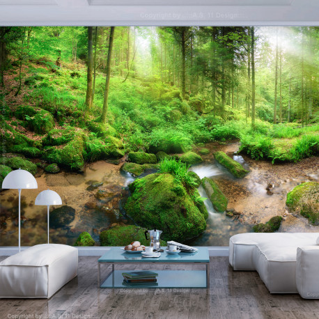 Fototapeet - Humid Forest - 400x280