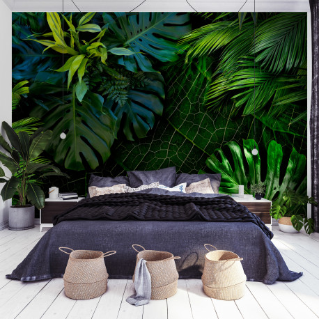 Fototapeet - Dark Jungle - 350x245