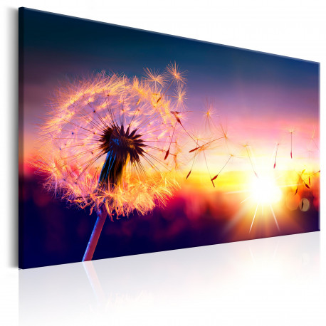 Seinapilt - Freedom of Nature - 120x80