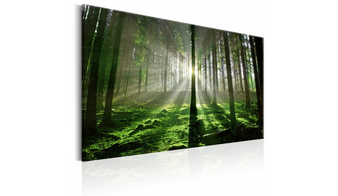Seinapilt - Emerald Forest II - 120x80