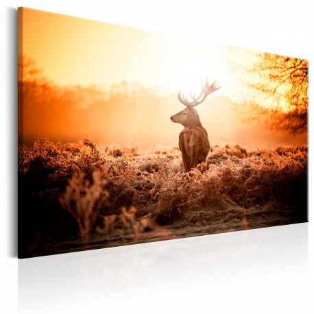 Seinapilt - Deer in the Sun - 120x80