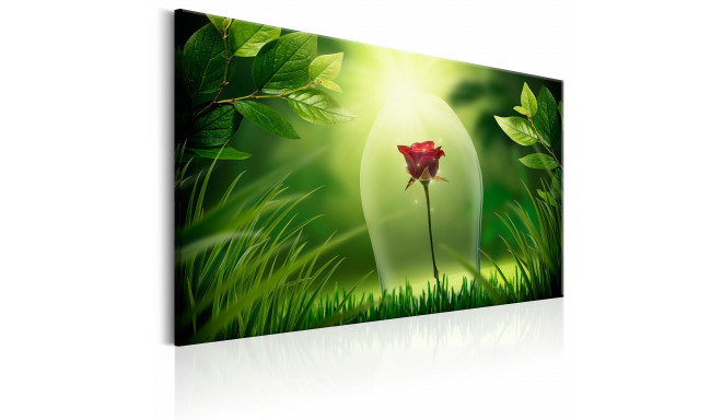 Seinapilt - Magical Rose - 120x80