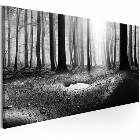 Seinapilt - Forest after Rain (1 Part) Narrow - 150x50