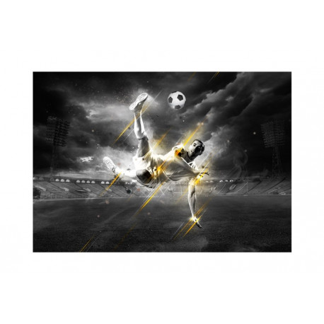 Fototapeet - Football legend - 400x280