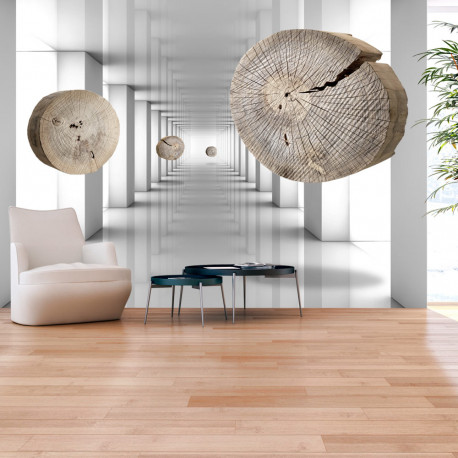 Fototapeet - Inventive Corridor - 250x175