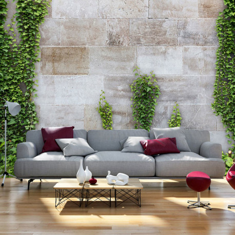 Fototapeet - The Forgotten Garden - 400x280