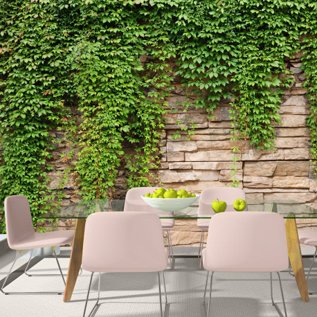 Fototapeet - Ivy wall - 100x70