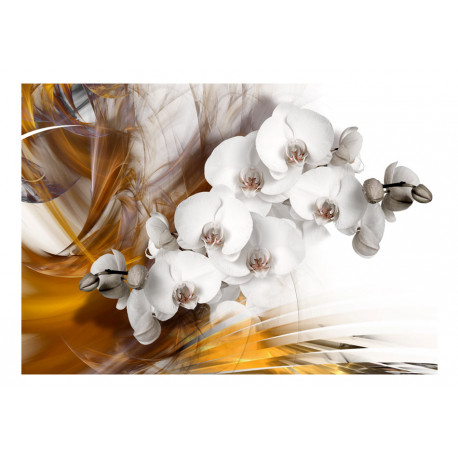 Fototapeet - Orchid on fire - 100x70