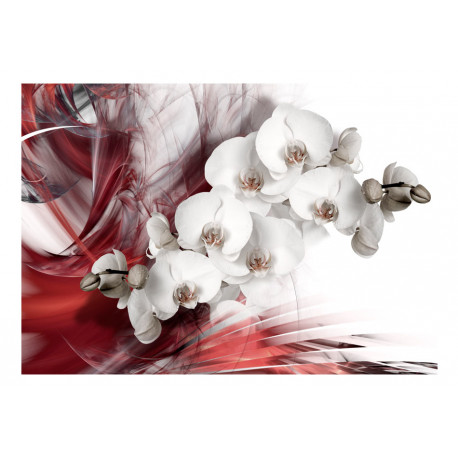 Fototapeet - Orchid in red - 150x105