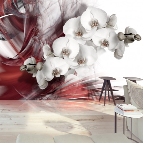 Fototapeet - Orchid in red - 400x280