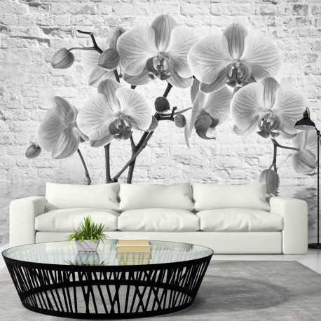 Fototapeet - Orchid in Shades of Gray - 300x210