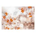 Fototapeet - Lily of the Incas - 400x280