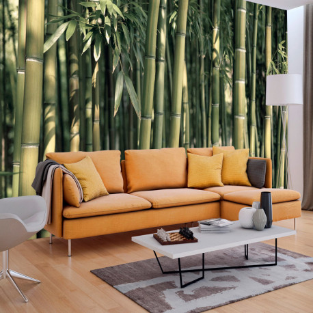 Fototapeet - Bamboo Exotic - 100x70