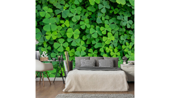 Fototapeet - Green Clover - 150x105