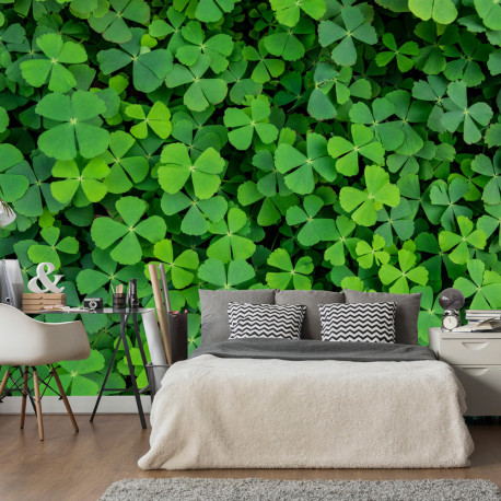 Fototapeet - Green Clover - 200x140