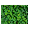 Fototapeet - Green Clover - 150x105