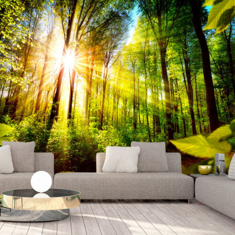 Fototapeet - Forest Hideout - 400x280