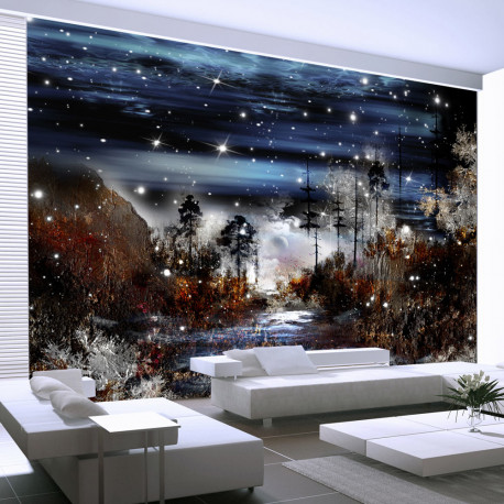 Fototapeet - Night in the forest - 100x70