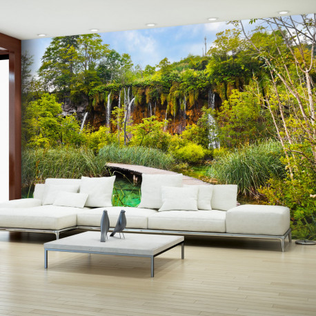 Fototapeet - Green oasis - 300x210