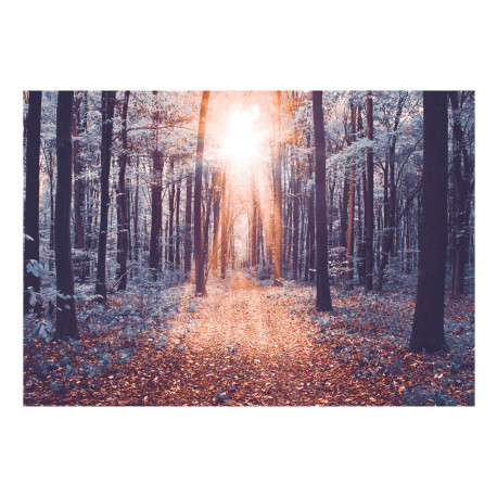 Fototapeet - Edge of the Sun - 300x210