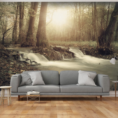Fototapeet - Forest Cascade - 200x140