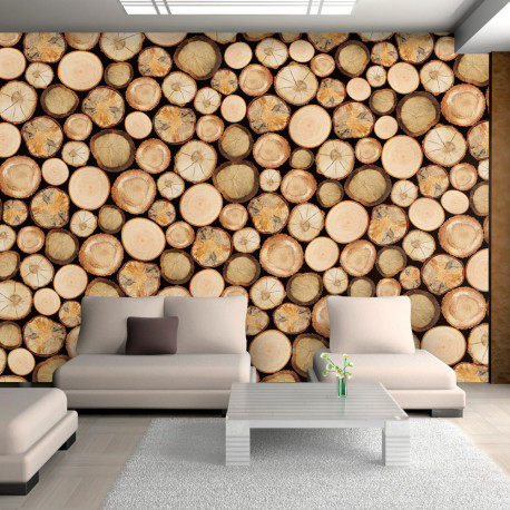 Fototapeet - In sawmill - 100x70