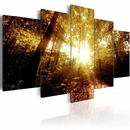 Seinapilt - Autumn Forest - 200x100