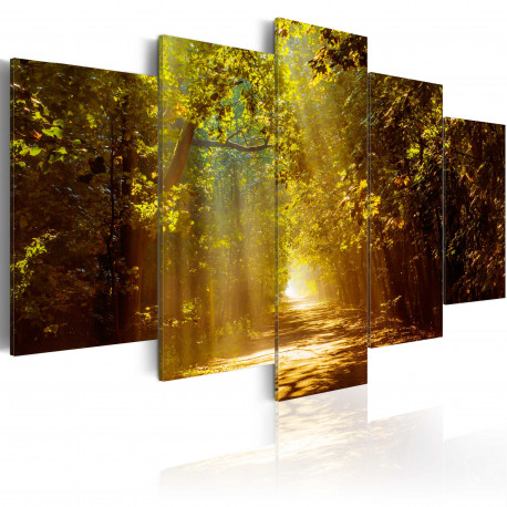 Seinapilt - Forest in the Sunlight - 200x100