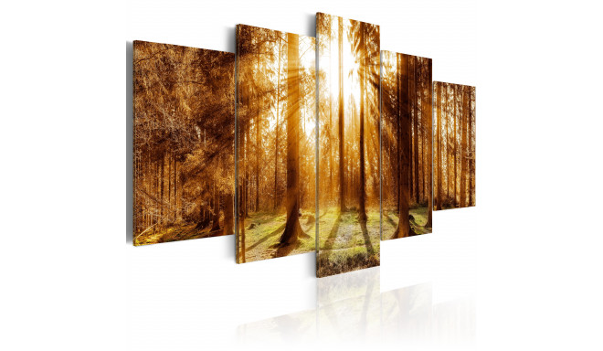 Seinapilt - Forest Illumination - 100x50