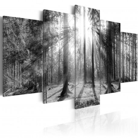 Seinapilt - Forest of Memories - 100x50
