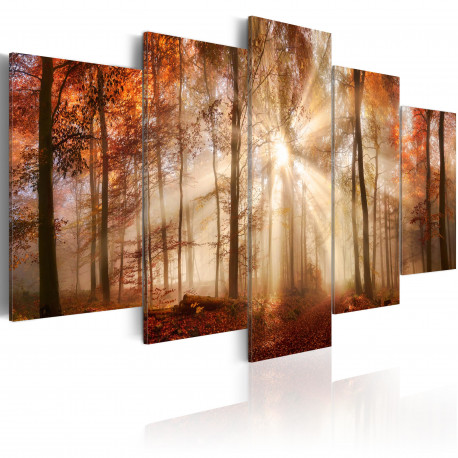 Seinapilt - Forest Fog - 100x50