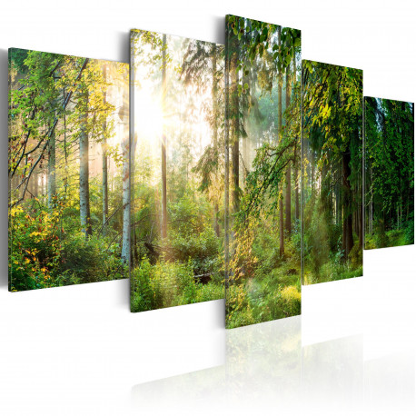 Seinapilt - Green Sanctuary - 100x50