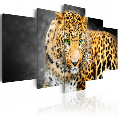 Seinapilt - Green-eyed leopard - 200x100