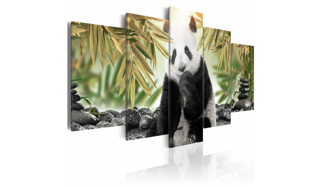 Seinapilt - Cute Panda Bear - 200x100