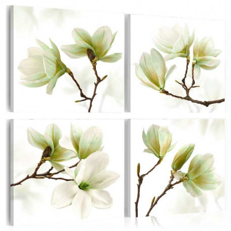 Seinapilt - Admiration of Magnolia - 60x60