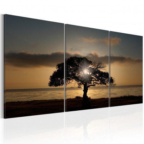 Seinapilt - Extraordinary Nature - 120x60